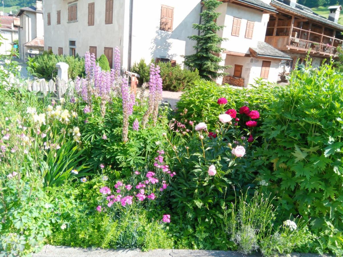 Da Carla Dolomiti Val Di Zoldoアパートメント エクステリア 写真
